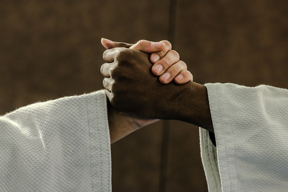 judo-2121640_960_720.jpg