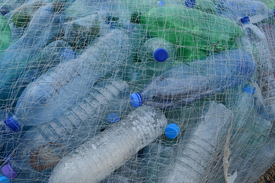 plastic-bottles-388679_960_720.jpg