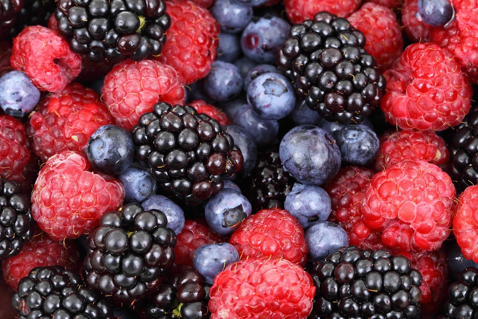 berries-2277_960_720.jpg